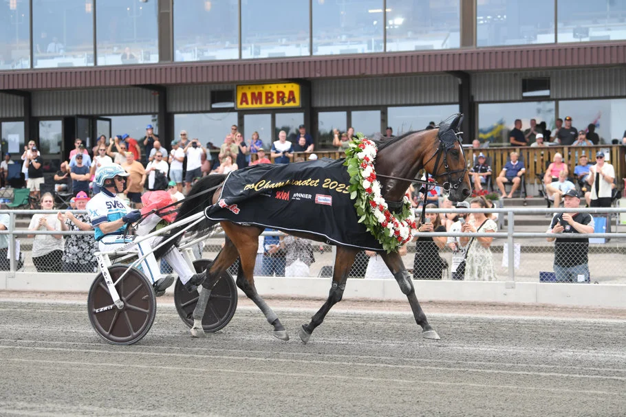Uttagningslopp till StoChampionatet