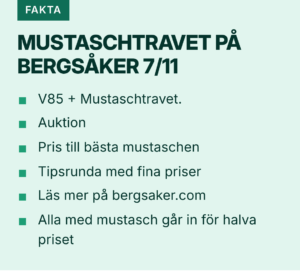 faktaruta-mustaschtravet